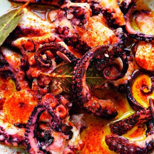 Braised Octopus