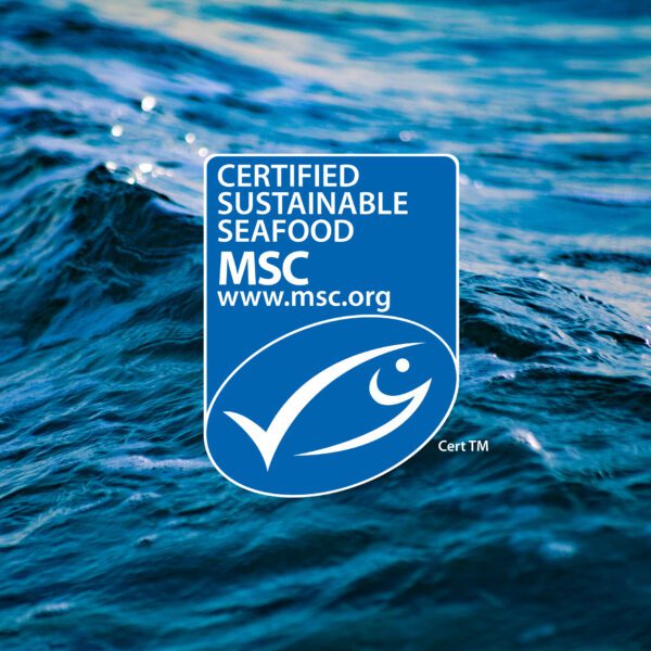 MSC Certified Sustainable Seafood Logo on Sea Water