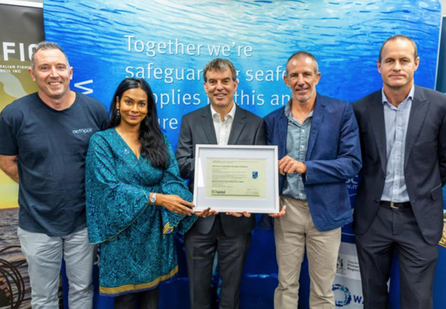 International recognition for WA’s sustainable octopus fishery