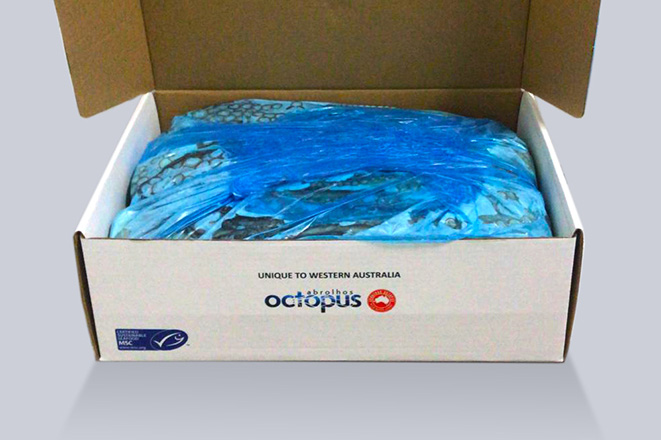 Abrolhos Octopus 15kg Open Pack